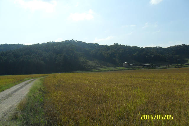 i29958_foto2
