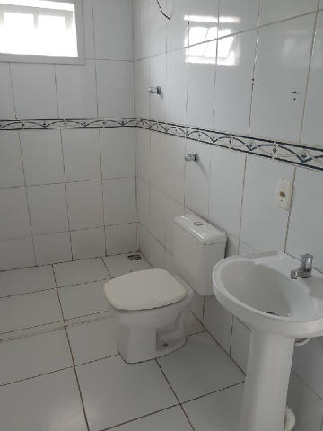 i37119_foto1