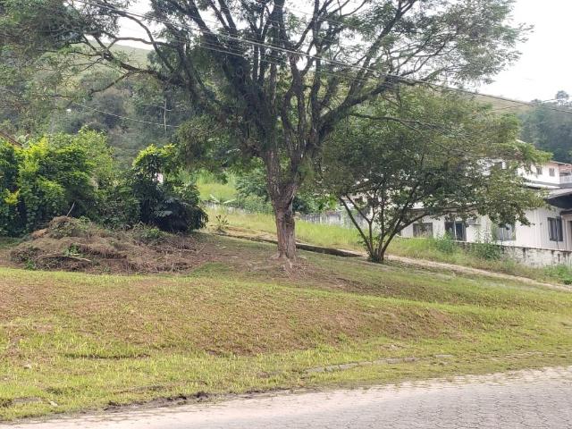 i47463_foto1