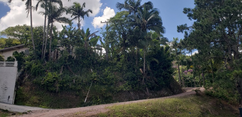 i49572_foto6